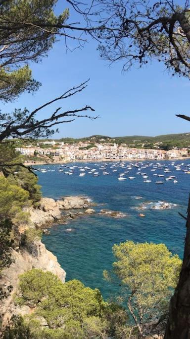 The Golden Oak In Calella Centre - 100M From Beach Palafrugell Zewnętrze zdjęcie